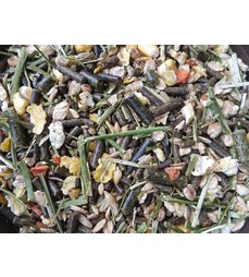 3327Cavia muesli.jpg