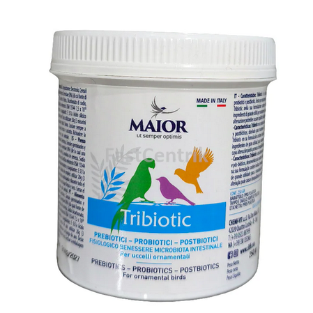 Tribiotic_Maior