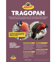 2025_Aufkleber_Lundi_Tragopan_02