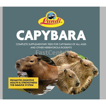 PHOTO-2025-01-23-23-30-08_-Kapybara